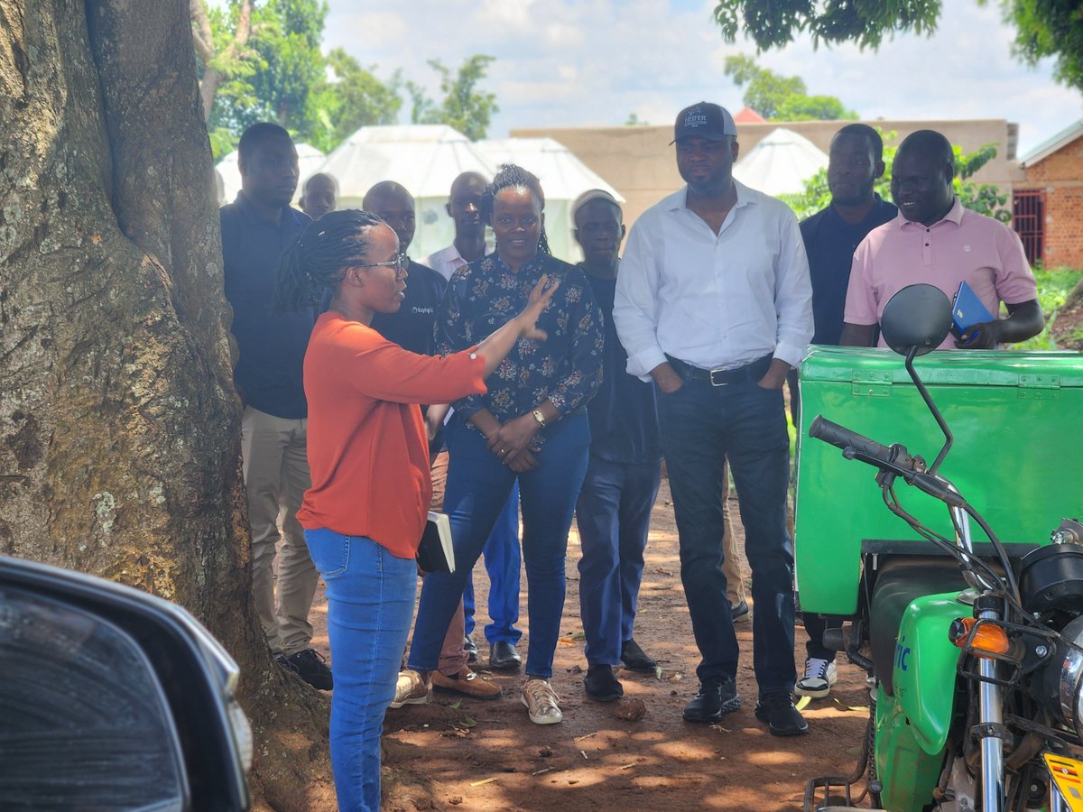Heifer International Uganda tweet media