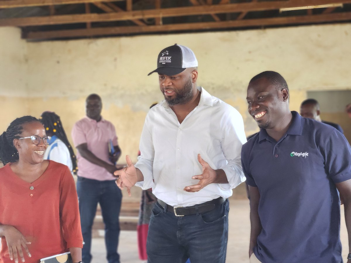 Heifer International Uganda tweet media