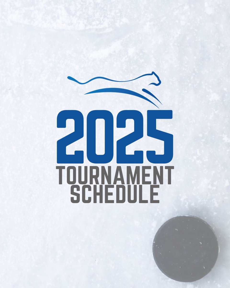 Real Speed Sports tweet media