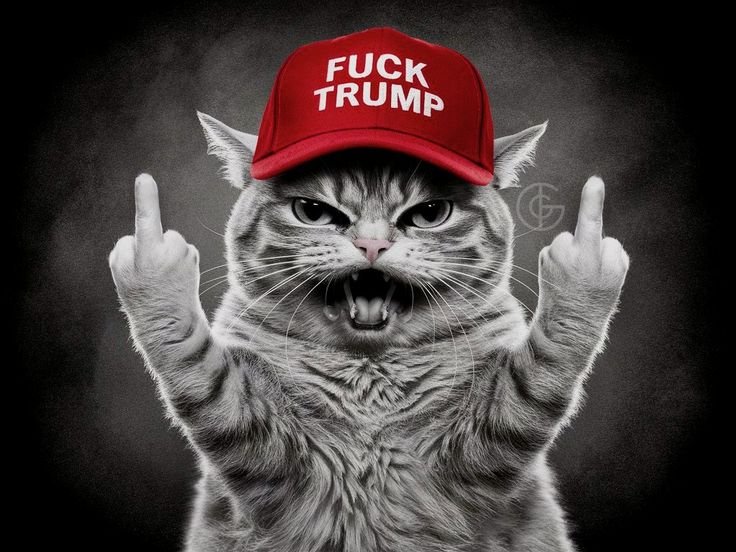 navahochick56's tweet image. ⚡⚡💯🖕💯🤡💯🖕💯⚡⚡
#FvcktRump donOld is Old 💩
From US 🗽🇺🇸⚖️🦅 &amp;amp; kitty 😾
Agree 💯!! #birthdayNOT 🔥
