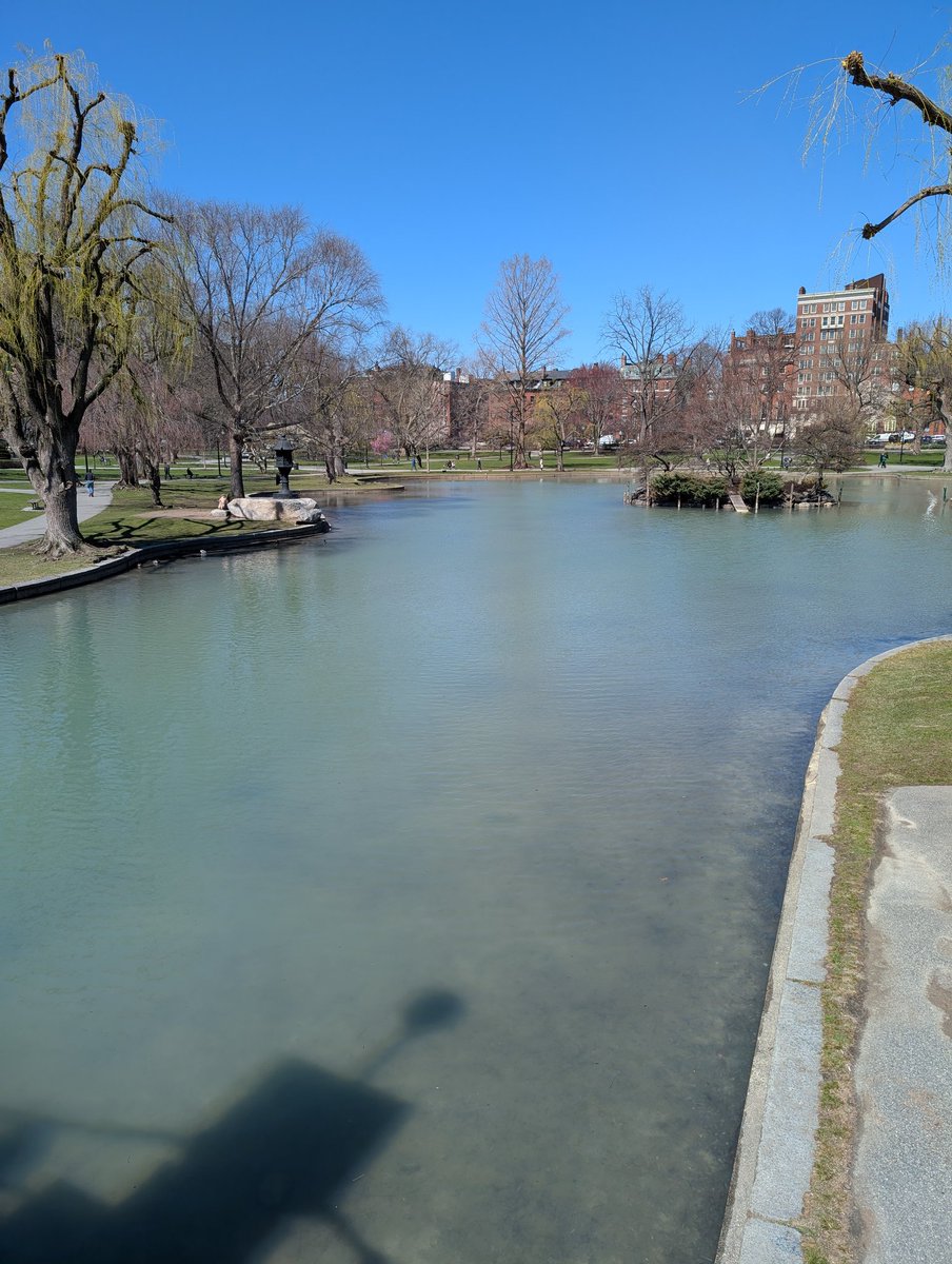Water back... #Boston #Spring 🥶🥶