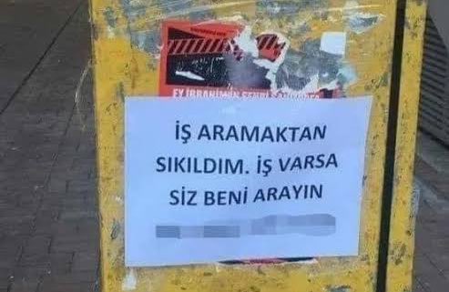 tenekecioglu06's tweet photo. @tortellinifungi https://t.co/wh5QvKh8Fu