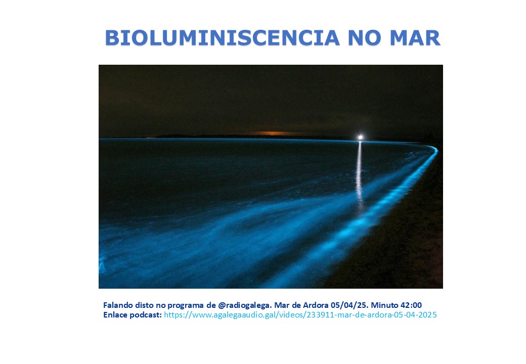 BIOLUMINISCENCIA NO MAR
Falando disto no programa de @radiogalega. Mar de Ardora 05/04/25. Minuto 42:00 Enlace podcast: agalegaaudio.gal/videos/233911-…