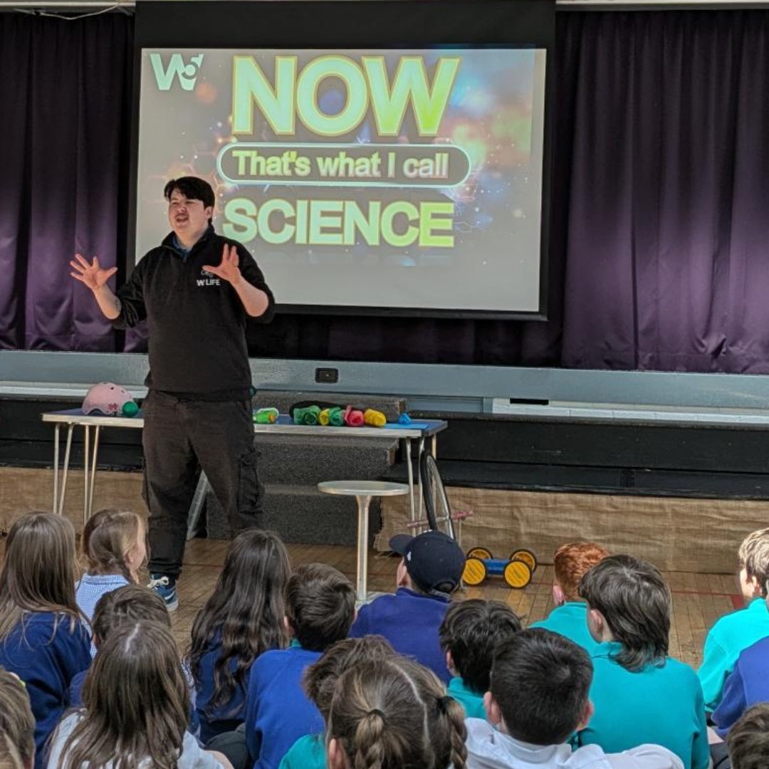 W5Education (@w5education) on Twitter photo Today, the Learning & Engagement team visited <a href="/GlencraigIPS/">Glencraig Integrated Primary School & Nursery Unit</a> for a day of science & fun! 🌟
They dived into science's greatest hits, met the scientists who asked questions that no one else did & tested their theories. 🧪
Book a visit for your school!➡️ bit.ly/W5SchoolWorksh… Today, the Learning & Engagement team visited <a href="/GlencraigIPS/">Glencraig Integrated Primary School & Nursery Unit</a> for a day of science & fun! 🌟
They dived into science's greatest hits, met the scientists who asked questions that no one else did & tested their theories. 🧪
Book a visit for your school!➡️ bit.ly/W5SchoolWorksh…