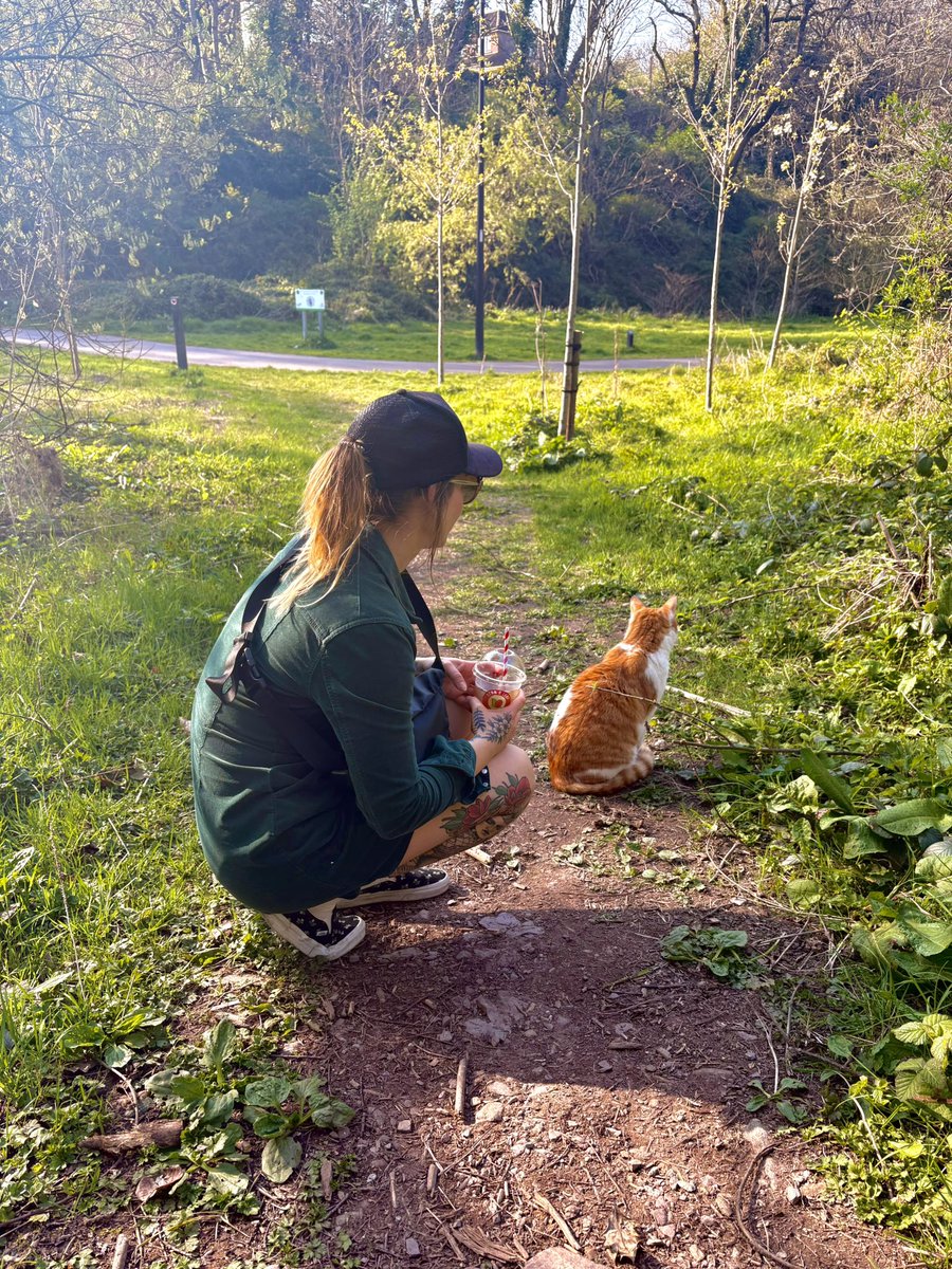 フ ォ リ ス tweet media