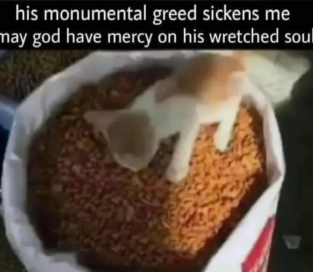 coreupt.bsky.social tweet media