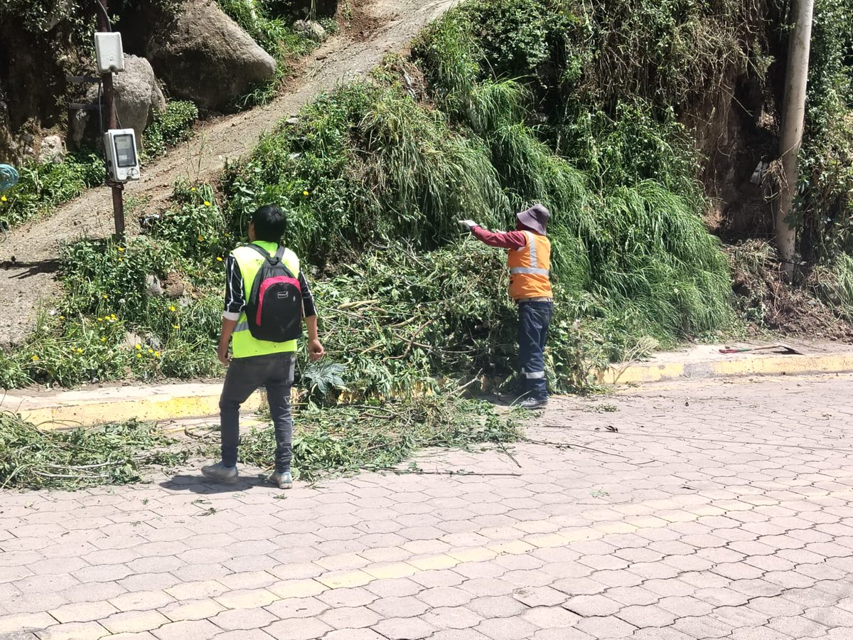 amcquito's tweet photo. 🦺 #Activados24Siete | ¡Guápulo se recupera! Gracias al trabajo interinstitucional y al #TrabajoComunitario de 19 ciudadanos sancionados por #AMCQuito, avanzamos en la limpieza de este sector.

🧹 Resultado de la intervención:

✅ Retiro de capa vegetal
✅ Recolección de residuos

Convertir un error en una oportunidad para ayudar es también parte de construir una mejor ciudad.

Con acción ciudadana, #QuitoRenace.