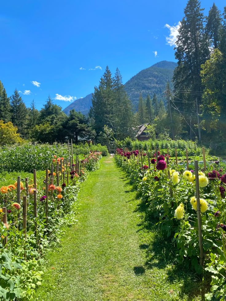 greenvibe's tweet photo. nature https://t.co/5mvWZ9Z2Ul