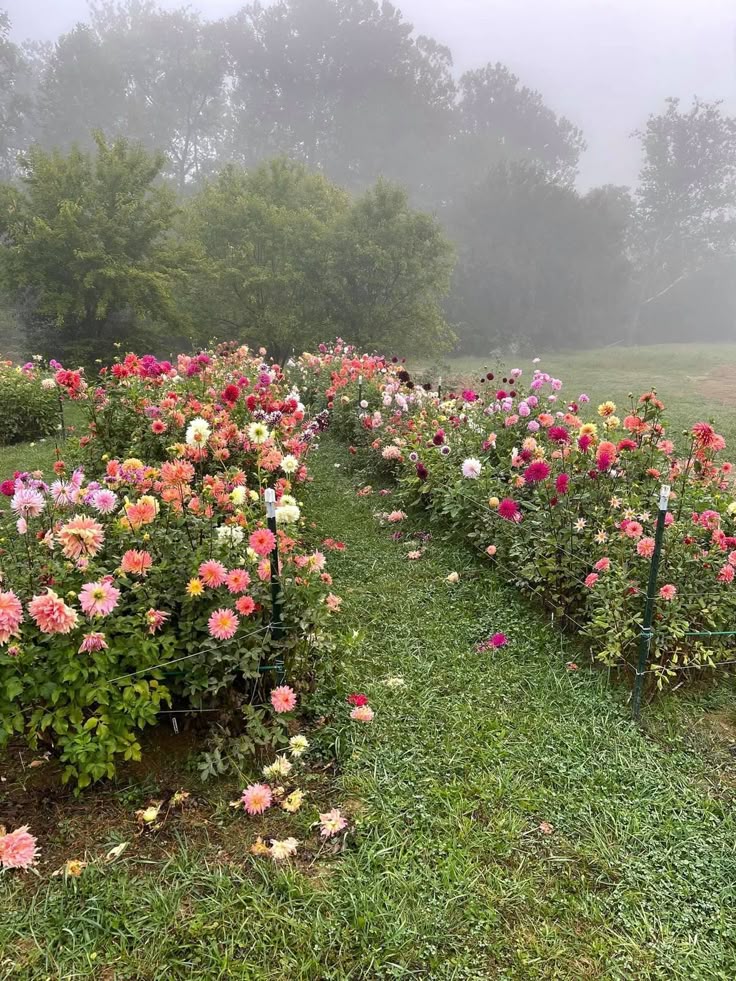 greenvibe's tweet photo. nature https://t.co/5mvWZ9Z2Ul