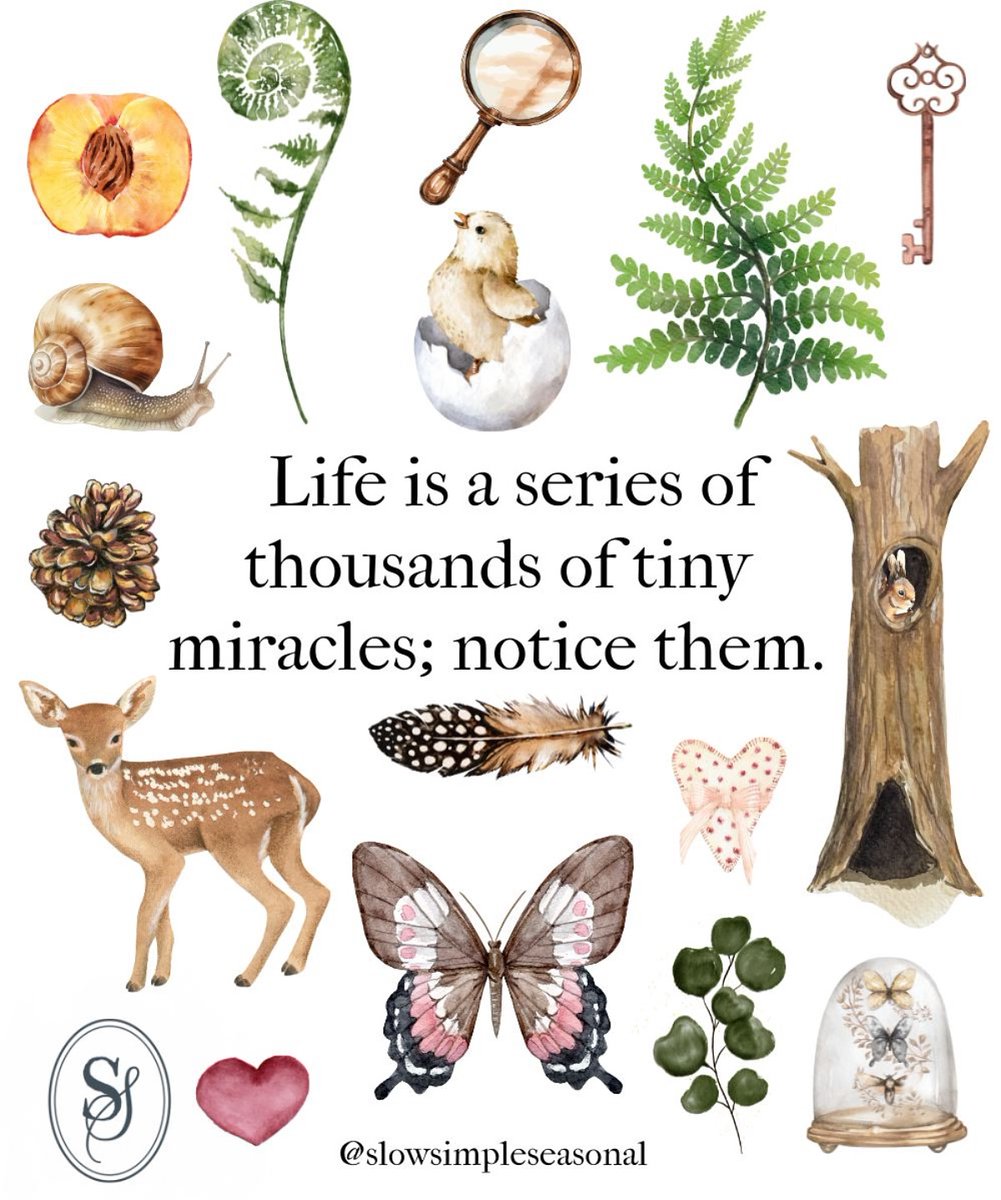 ecofriendlyfact's tweet photo. Never take the rare beauty of our Earth for granted. 🌎
.
.
.
Read more : https://t.co/vWVfS97cf1
#nature #earth #earthmonth #nature #naturelovers #naturegram #simplistic #ecofriendly https://t.co/CAsIwFEdSL
