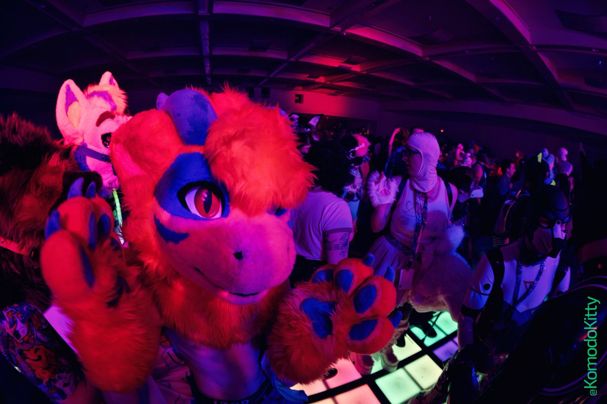 ThatOrangeNardo's tweet photo. Peekaboo

#furry #fursuit #fursuiter #furnalequinox https://t.co/vxqNXlEfvx
