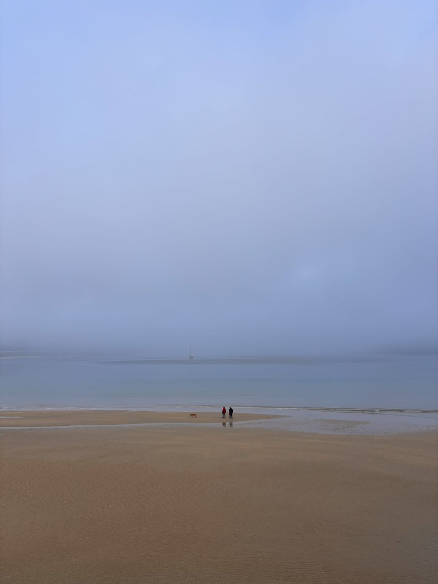 bbrcomunicacion's tweet photo. Preciosa la niebla esta mañana en la Concha https://t.co/Bj6hGdd9Px