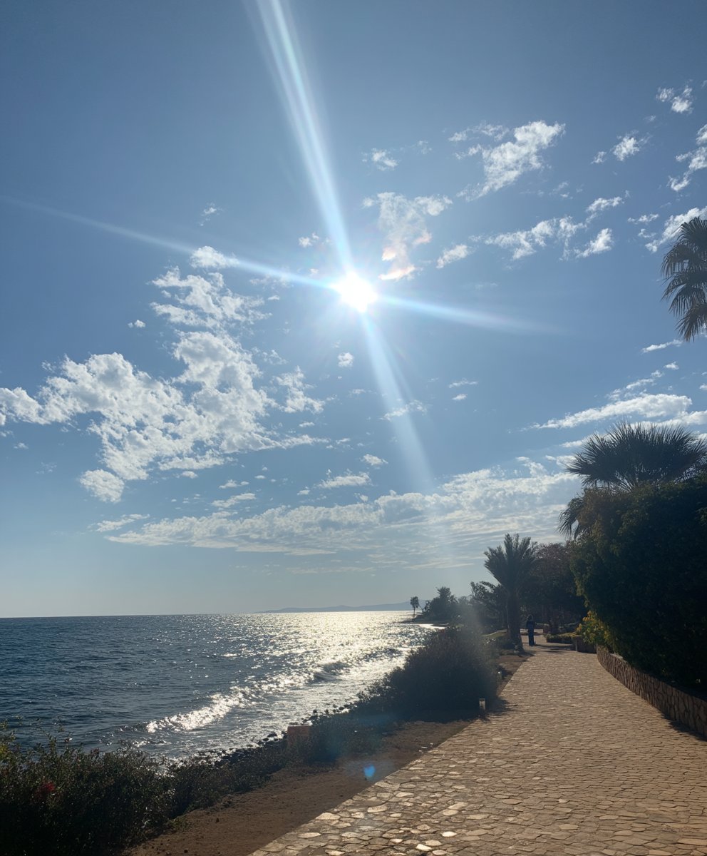 Incredible Chinese things are happening in Portugal.