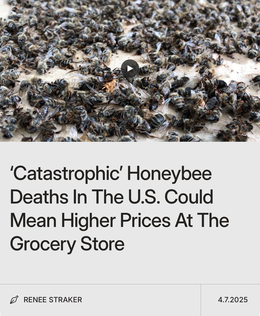 Let this sink in—more honeybees 🐝 died last year than any year in history. U.S. commercial beekeepers saw colony losses averaging 62% over the past winter, with up to 70% loss this coming year. If this continues, countless fruits and vegetables that rely on bees will soar in ⬆️$