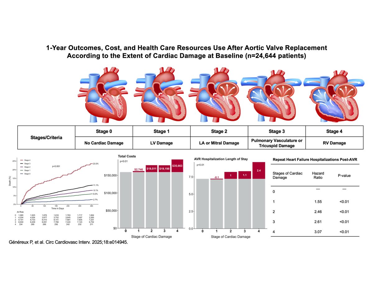 CircInterventions (@circintv) on Twitter photo 1-year outcomes after AVR. The extent of cardiac damage before AVR is associated with increased costs and health care resource utilization through 1-year post AVR <a href="/PhilGenereuxMD/">Philippe Genereux</a> <a href="/BjornRedfors/">Björn Redfors</a> <a href="/PPibarot/">Philippe Pibarot</a> <a href="/g_giustinoMD/">Gennaro Giustino, MD</a> <a href="/MartyBLeon/">Marty Leon</a> <a href="/SuzanneJBaron/">Suzanne J. Baron MD MSc</a> #AHAJournals ahajrnls.org/3G0Z0cx 1-year outcomes after AVR. The extent of cardiac damage before AVR is associated with increased costs and health care resource utilization through 1-year post AVR <a href="/PhilGenereuxMD/">Philippe Genereux</a> <a href="/BjornRedfors/">Björn Redfors</a> <a href="/PPibarot/">Philippe Pibarot</a> <a href="/g_giustinoMD/">Gennaro Giustino, MD</a> <a href="/MartyBLeon/">Marty Leon</a> <a href="/SuzanneJBaron/">Suzanne J. Baron MD MSc</a> #AHAJournals ahajrnls.org/3G0Z0cx