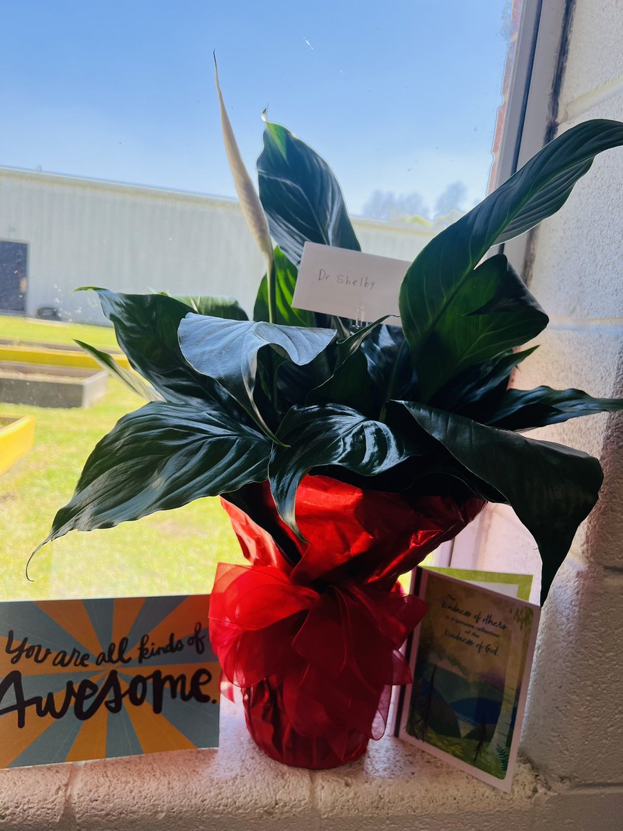 W.Shelby, Ph.D tweet media