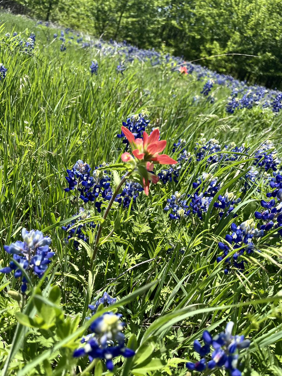 Saycheeze19's tweet photo. #mytexasexperience #whateyesee https://t.co/3iZY4hblqe