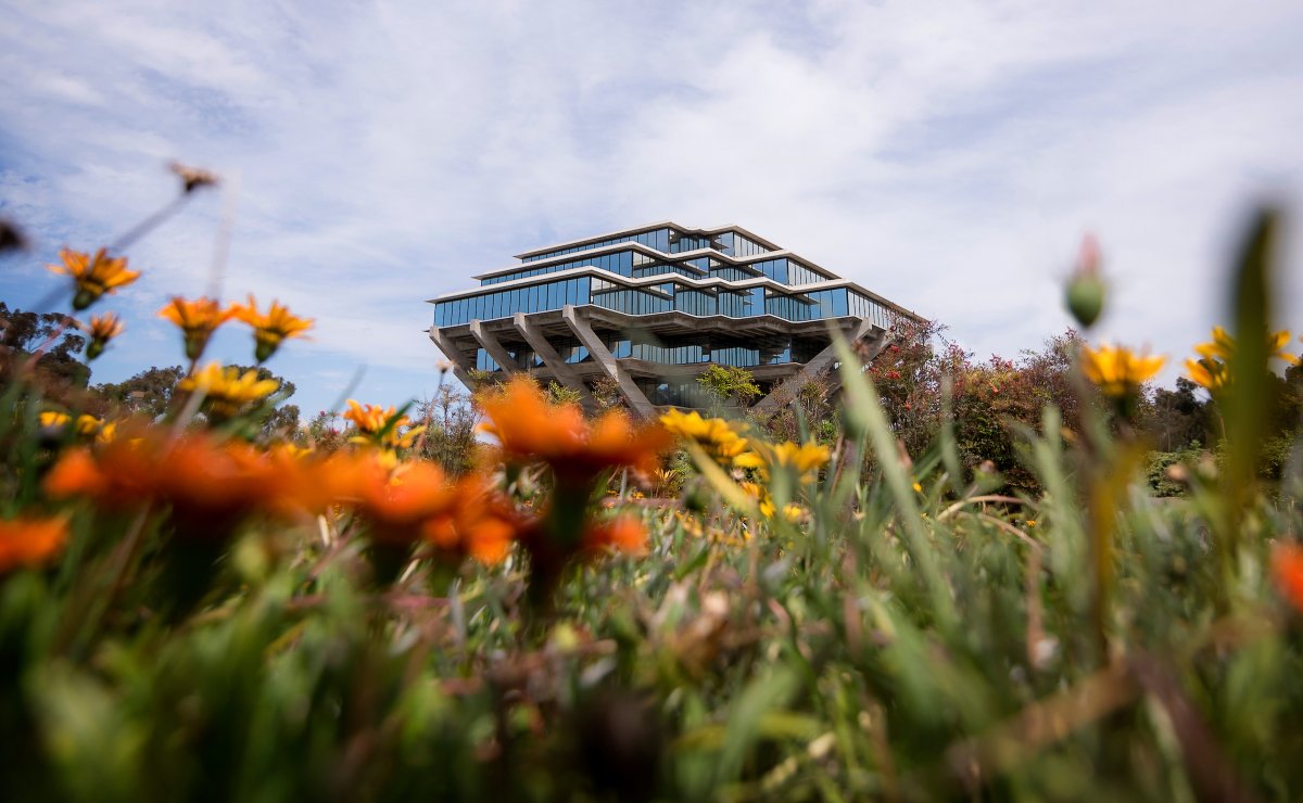 ucsdlibrary's tweet image. 📘 Heads up, Tritons! Geisel Library will have special hours this Saturday, April 12 from 9 a.m. to 5 p.m. for Triton Days. Plan your study time accordingly and enjoy the festivities! 🎉 #UCSD #TritonDays #GeiselLibrary