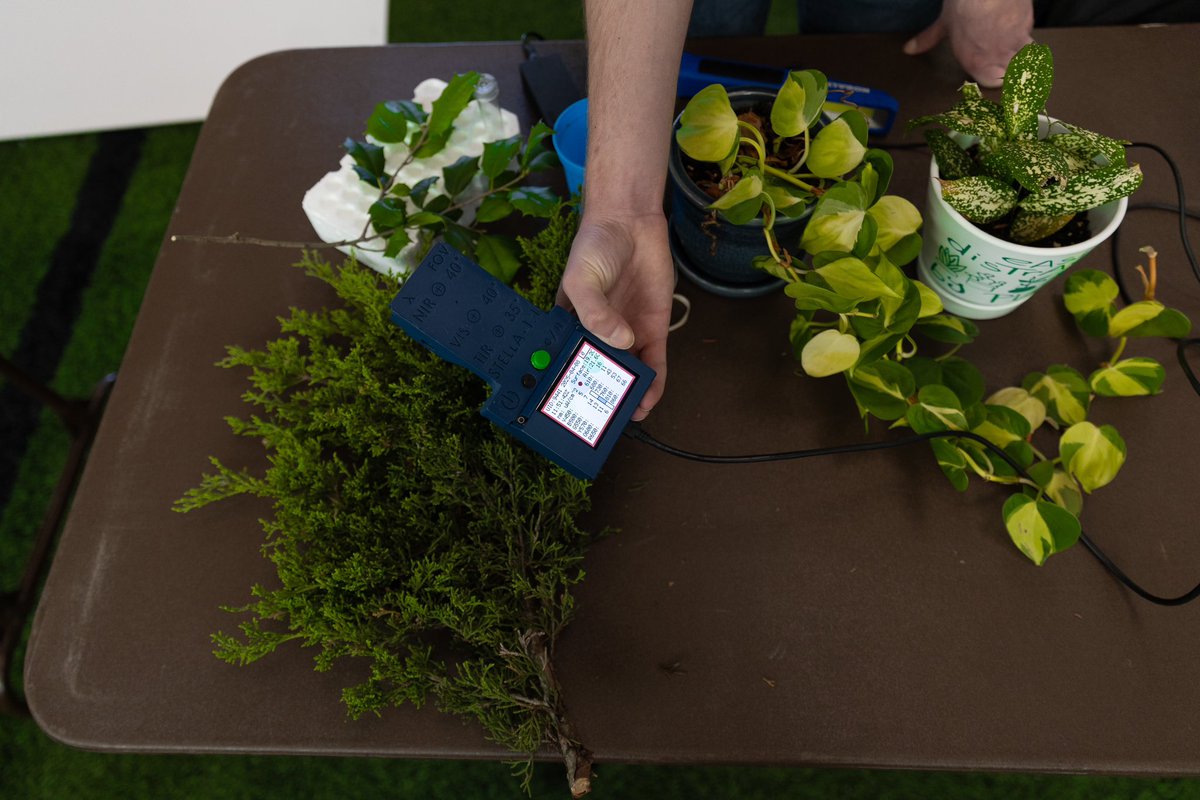 BobcatsDiscover tweet media