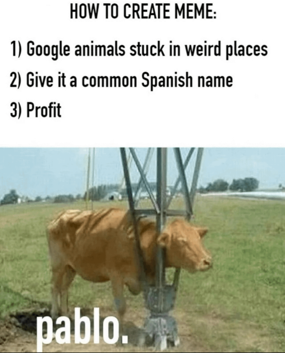 no context memes tweet media