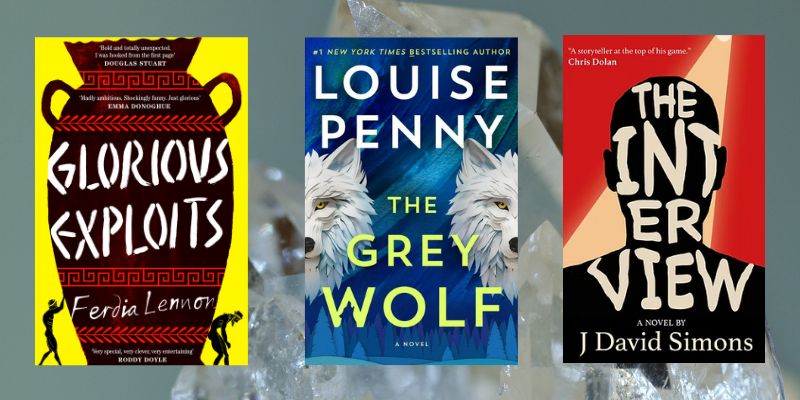 What am I reading? 
An Irish bestseller and the latest in a long-standing Canadian crime series 

bookertalk.com/what-im-readin…