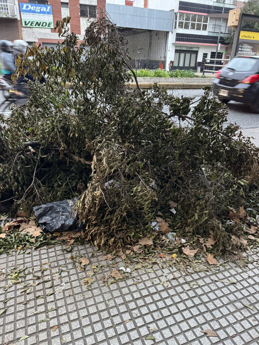 lorefabri's tweet photo. @gcba a ver si se dignan a mandar a alguien a juntar esto calle juan b Justo 6244 es un juntadero de mugre https://t.co/8dMH6Q4xLP