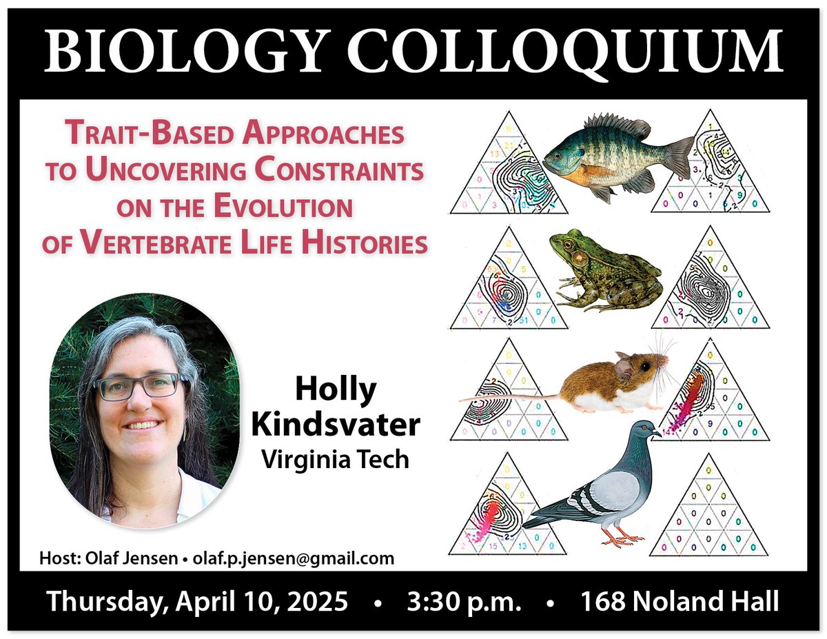 UW-Madison Biology Major (@uwbiomajor) on Twitter photo Hey #BioBadgers! Tomorrow, April 10th, Integrative Bio will have Dr. Holly Kindsvater (<a href="/vt_fishwild/">VT FISHWILD</a>) speaking at Biology Colloquium. Please join at 3:30 pm in 168 Noland Hall for:
“Trait-based approaches to uncovering constraints on the evolution of vertebrate life histories” Hey #BioBadgers! Tomorrow, April 10th, Integrative Bio will have Dr. Holly Kindsvater (<a href="/vt_fishwild/">VT FISHWILD</a>) speaking at Biology Colloquium. Please join at 3:30 pm in 168 Noland Hall for:
“Trait-based approaches to uncovering constraints on the evolution of vertebrate life histories”