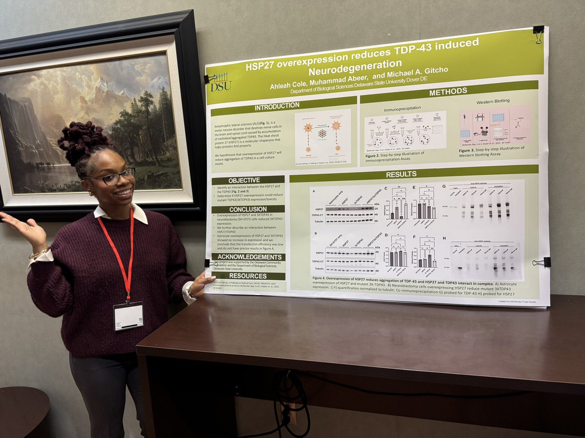 MGitcho's tweet photo. Some cool research from our lab.  HSP27 protection in ALS     congratulations to the amazing undergraduate researcher Ahleah Cole! @DelStateUniv great Research day! https://t.co/ENcUhMVilQ