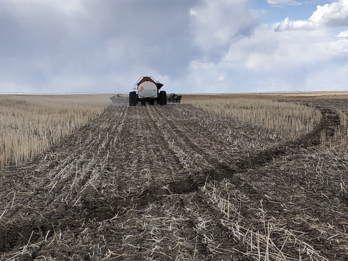 We’re off!  Seeding Bolles HRS wheat (still my favourite variety on irrigation) into hemp stubble. ⁦<a href="/Smithfamilyseed/">Walter Smith</a>⁩