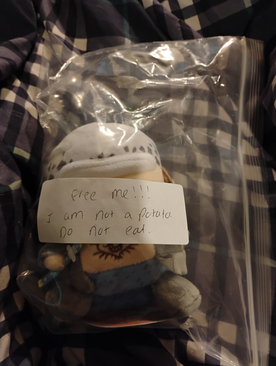 WolfIsabeau's tweet photo. Law potato came home ๐ฅฐโค๏ธ
The other mini Law's are curious ๐คฃ
Thank you @DragonFallsOP
for selling him to me. I greatly appreciate it! ๐ซถ๐ Plus, the note was funny
#LawMerch #TrafalgarLaw #Law https://t.co/pqumCDzvEU