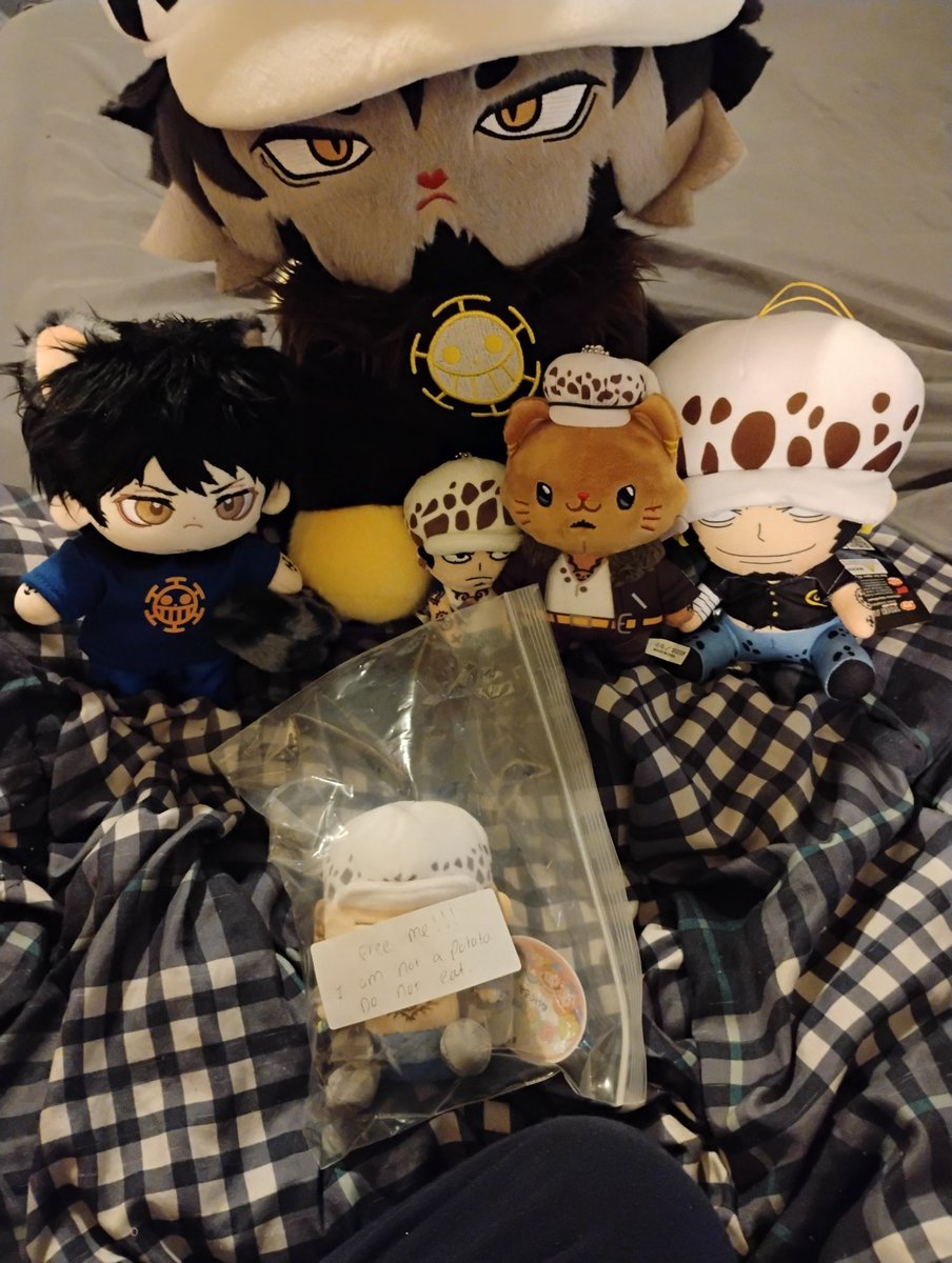 WolfIsabeau's tweet photo. Law potato came home ๐ฅฐโค๏ธ
The other mini Law's are curious ๐คฃ
Thank you @DragonFallsOP
for selling him to me. I greatly appreciate it! ๐ซถ๐ Plus, the note was funny
#LawMerch #TrafalgarLaw #Law https://t.co/pqumCDzvEU