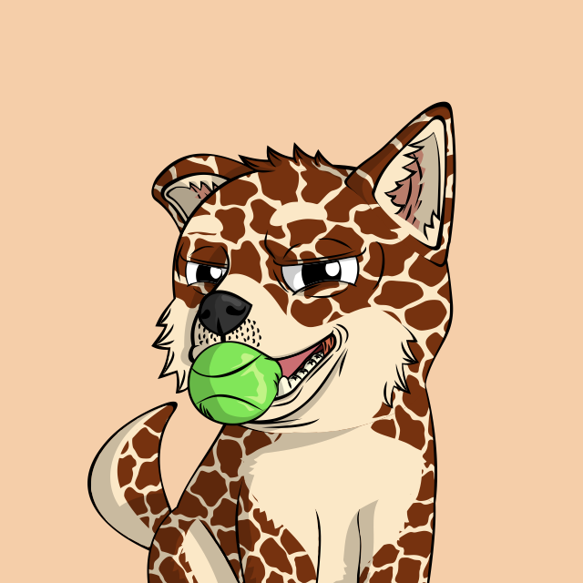 John Lemon 🍋 🐶 tweet media