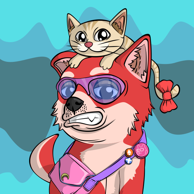 John Lemon 🍋 🐶 tweet media