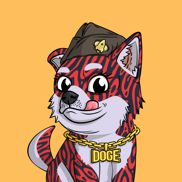 John Lemon 🍋 🐶 tweet media