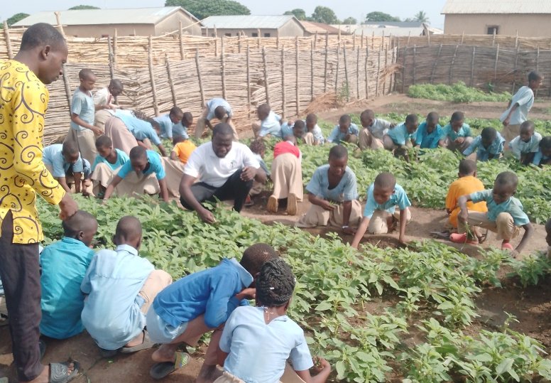 charaf_yarou's tweet photo. Dans un monde où la nature se meurt lentement sous le poids de l’oubli, il est urgent de cultiver les graines de la conscience écologique dans le cœur des plus jeunes.
C’est dans cette vision d’avenir que l’#ONGTonkouro sème (1) @UNICEF_Benin @niangouse @GillesFagninou @UNBenin https://t.co/XOvcCyDEu8