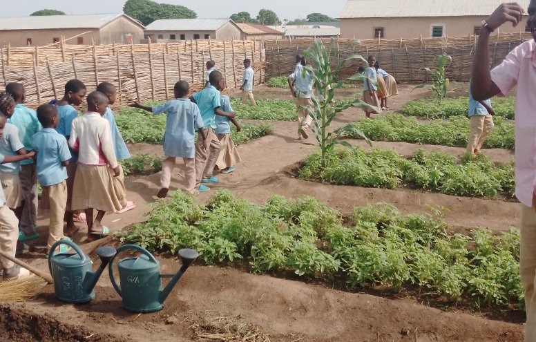 charaf_yarou's tweet photo. Dans un monde où la nature se meurt lentement sous le poids de l’oubli, il est urgent de cultiver les graines de la conscience écologique dans le cœur des plus jeunes.
C’est dans cette vision d’avenir que l’#ONGTonkouro sème (1) @UNICEF_Benin @niangouse @GillesFagninou @UNBenin https://t.co/XOvcCyDEu8