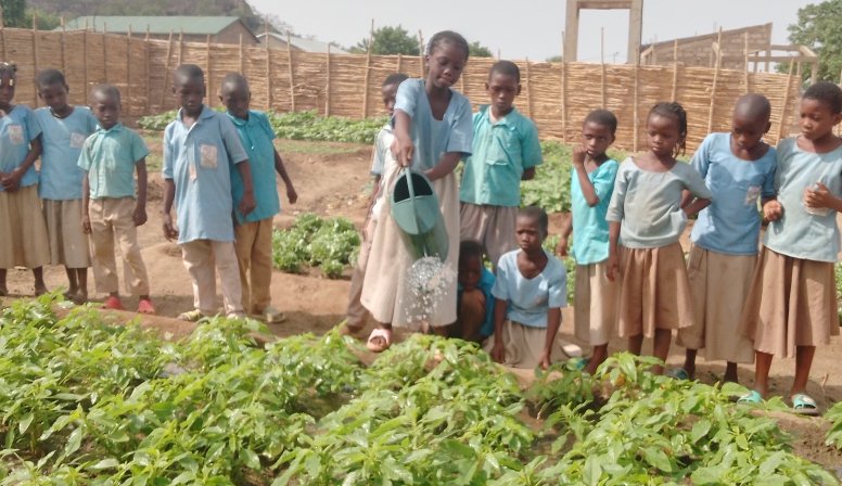charaf_yarou's tweet photo. Dans un monde où la nature se meurt lentement sous le poids de l’oubli, il est urgent de cultiver les graines de la conscience écologique dans le cœur des plus jeunes.
C’est dans cette vision d’avenir que l’#ONGTonkouro sème (1) @UNICEF_Benin @niangouse @GillesFagninou @UNBenin https://t.co/XOvcCyDEu8
