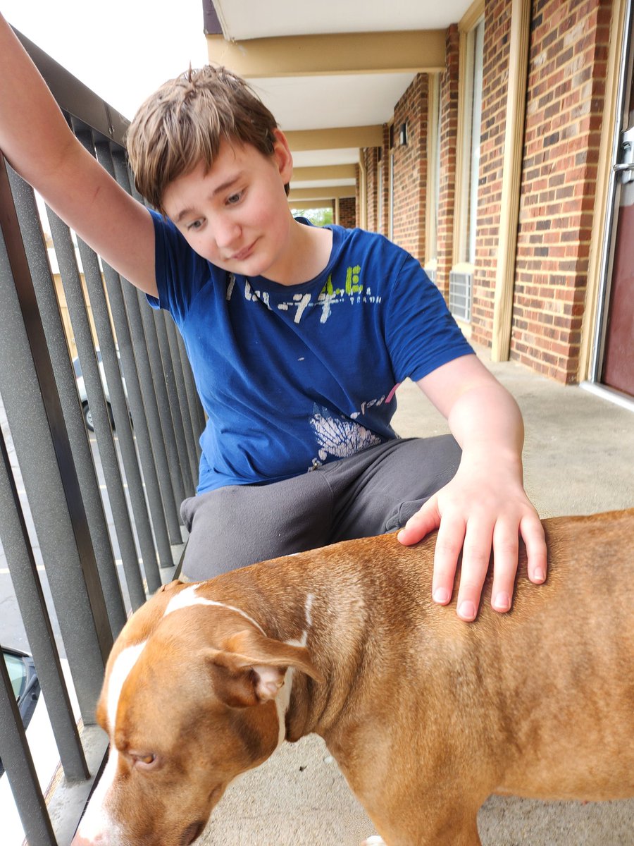This is one of the dogs impacted by the floods. Her name is Nala and your donations helped her and her mom today. Thank you so much!!!
#FrankfortStrong