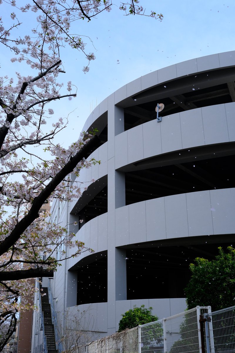 KyoMKatarou's tweet photo. 秒速5センチメートル

X-M5
XF27mmF2.8 R WR 

#富士フイルム #FUJIFILM #XM5
#CherryBlossoms https://t.co/APO3YXOehn