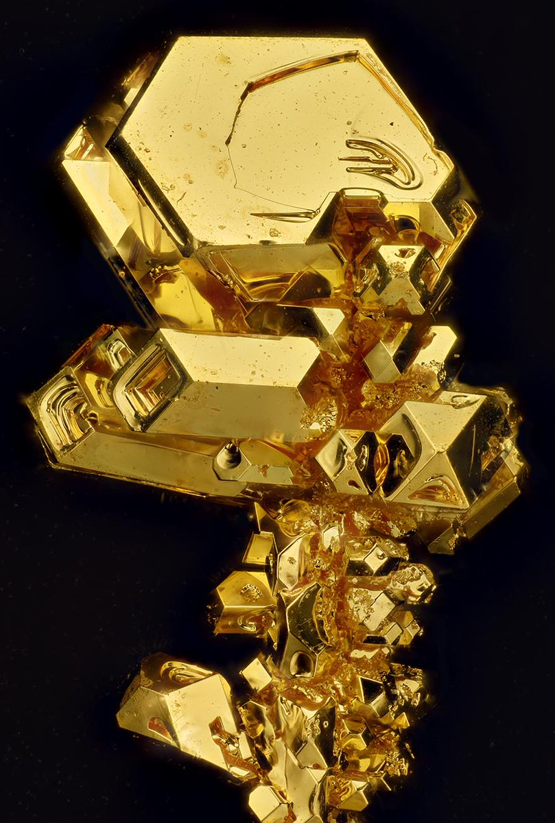 fluor_doublet's tweet photo. 金 (gold) の結晶。金も自由空間では自形結晶を育成することができます。正八面体面 {1 1 1} と、正六面体面 {1 0 0} よりなる結晶集合になってます。とてもやわらかく、ステンレスピンセットでも傷つきます（やった）。
某ロシア人がこの結晶を育てるのが異常にうまくて、彼の手による結晶です。 https://t.co/EyZYpoF40z