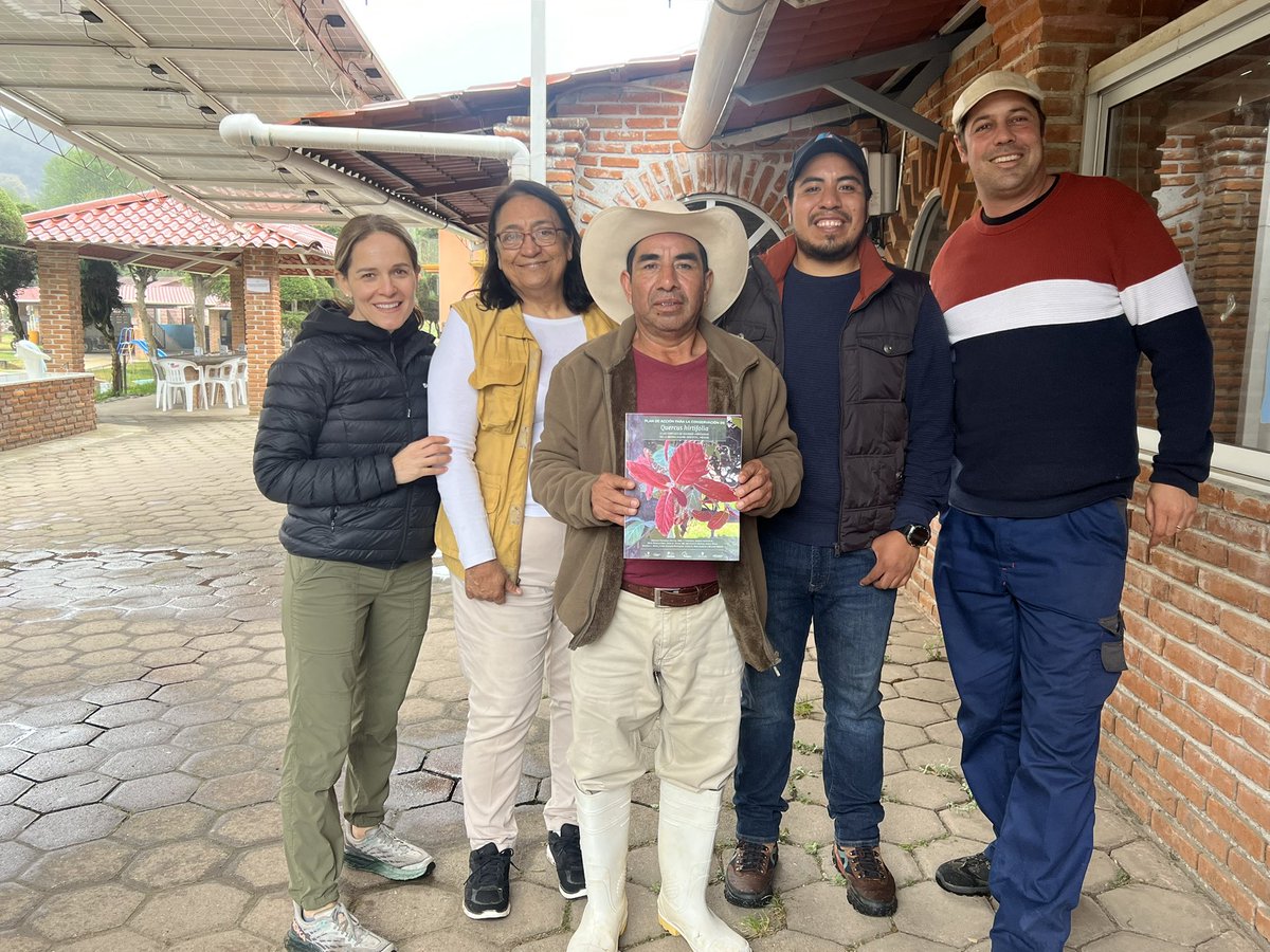 GCCO.Mexico&CA tweet media