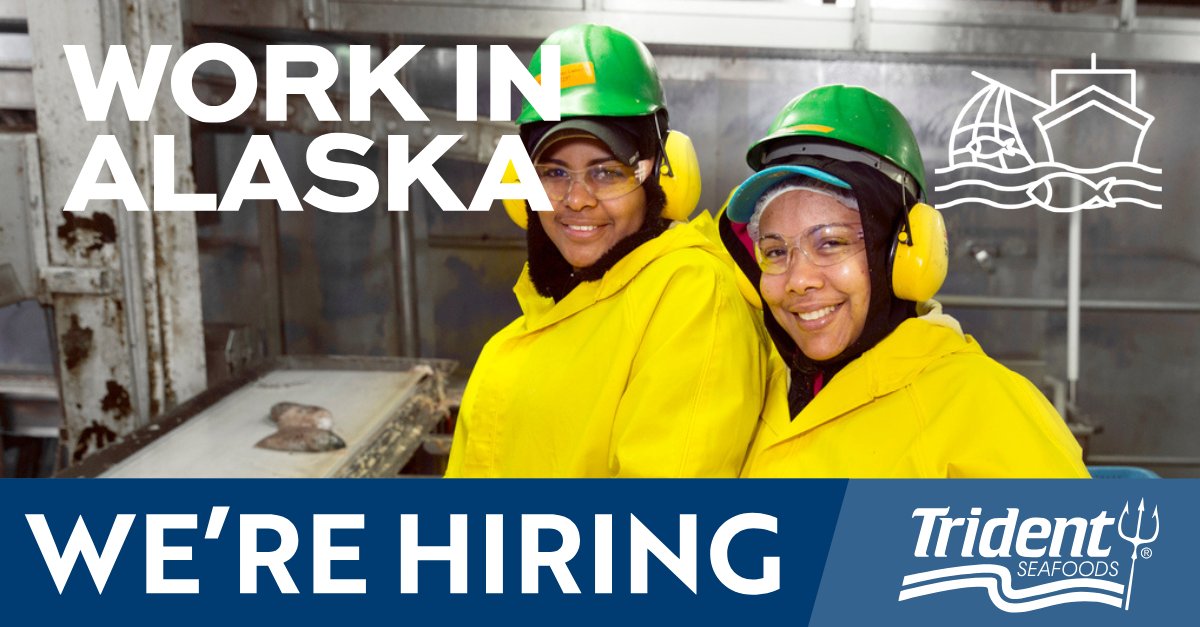Looking to return to Trident as a seasonal processor or take on a new career adventure? With B-Season approaching, we're hiring for both shoreside and at-sea processor roles in Alaska. 🏔️

Learn more: bit.ly/AlaskaJobs2025 #AlaskaJobs #NowHiring