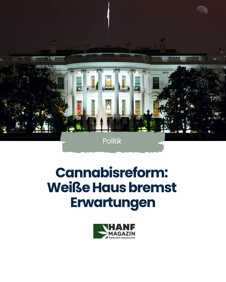 hanfmagazin's tweet image. 90 % der US-Bürger: Legalize it.
Trump im Wahlkampf: Legalize it.
Trump im Amt: …
PACs pumpen jetzt Millionen in Kampagnen direkt vor dem Weißen Haus. 
hnf.link/ZOt4
#CannabisLegal #CannabisLobby #USCannabispolitik #Hanfmagazin #Cannabis