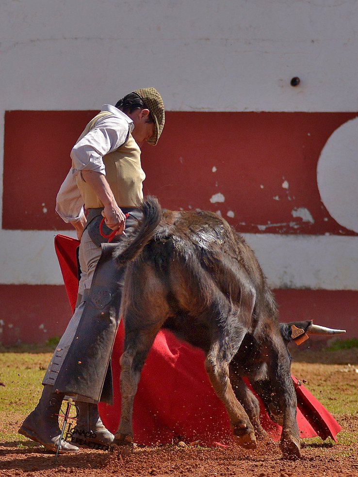 ignacio perelétegui tweet media