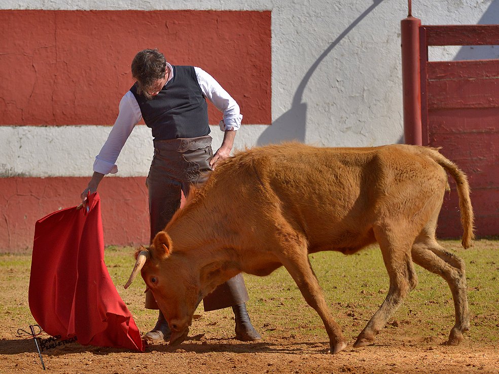 ignacio perelétegui tweet media