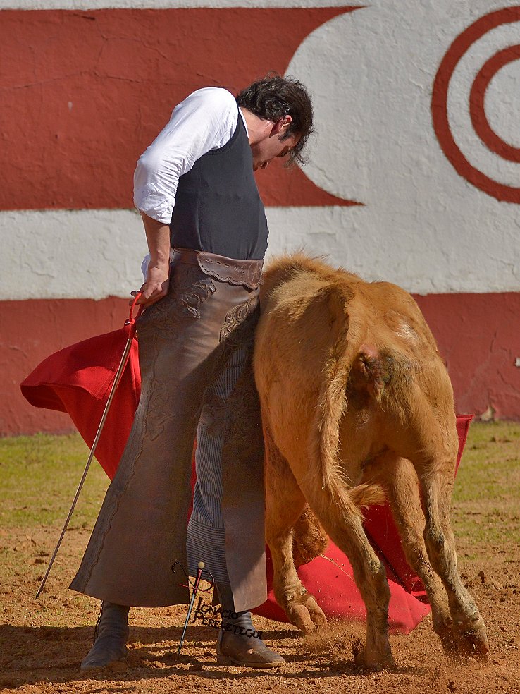 ignacio perelétegui tweet media
