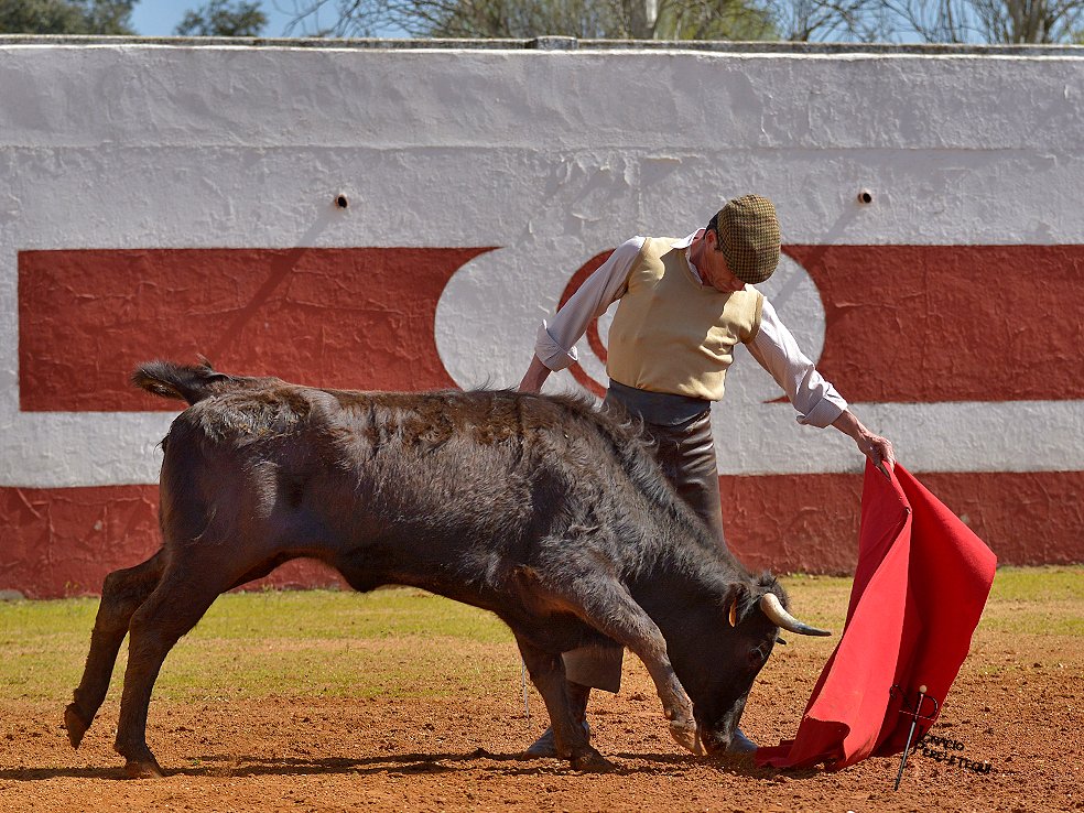 ignacio perelétegui tweet media