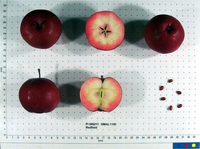 ِ (@controdicting) on Twitter photo 