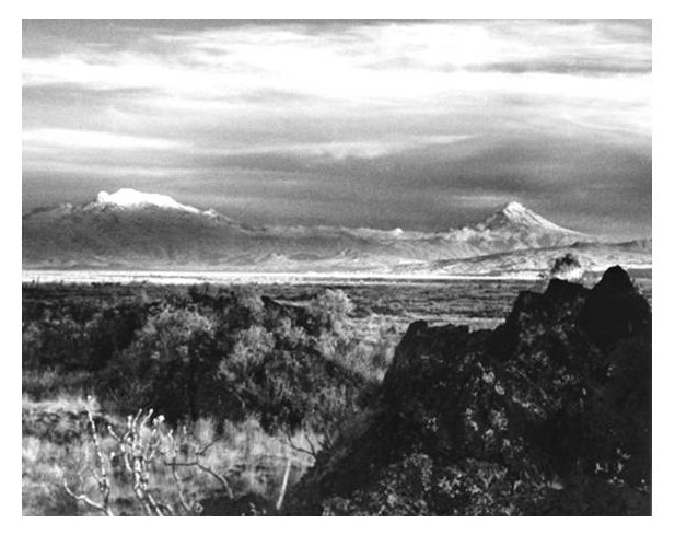 Observatorio Ciudadano Jardines del Pedregal. AC. tweet media