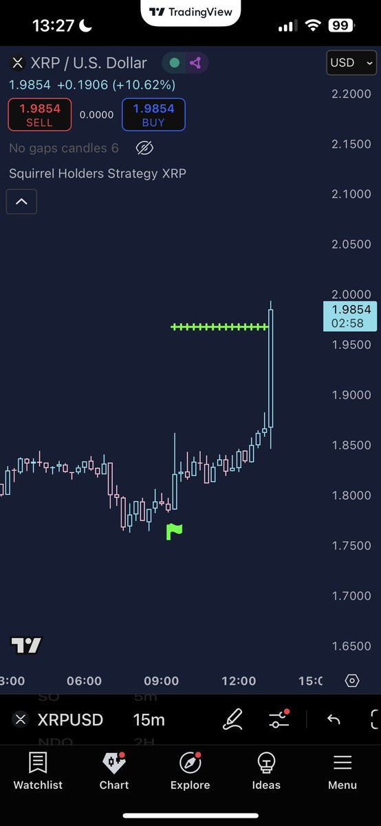 squirrel tweet media